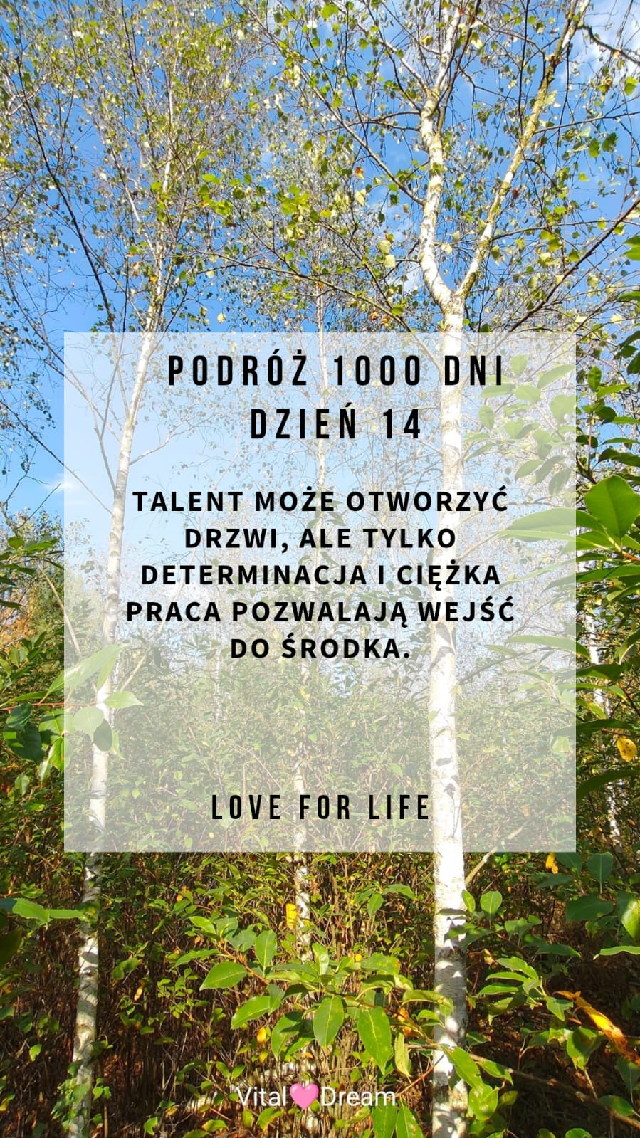 DZIEŃ 14